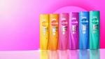 Enam botol sampo Sunsilk dengan kemasan warna-warni berlatar belakang merah muda. Sunsilk adalah salah satu merek Beauty & Wellbeing Unilever.