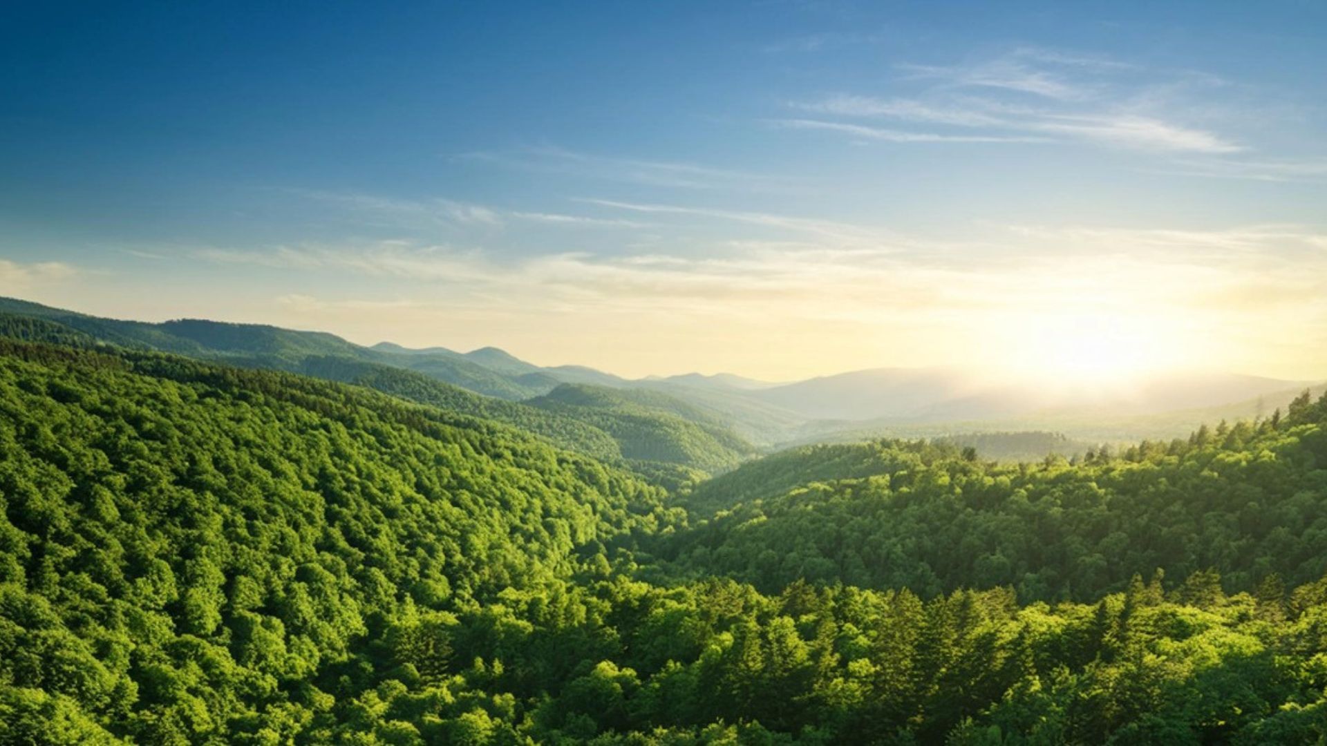 Apresiasi KLHK RI untuk Unilever Indonesia